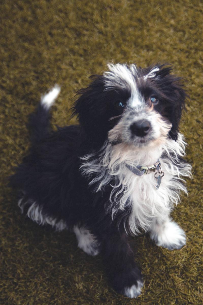 Pepper-080921-8