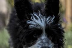 Pepper-080921-11