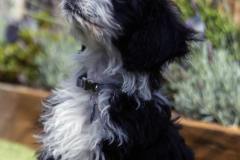 Pepper-080921-2