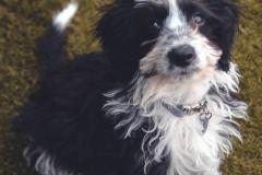 Pepper-080921-8