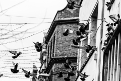 070124-11_Original