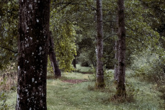 070925-11