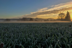 Luke-Sullivan_Original