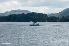 LD-36